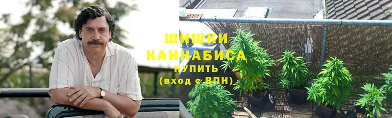 Шишки марихуана White Widow  Нефтегорск 